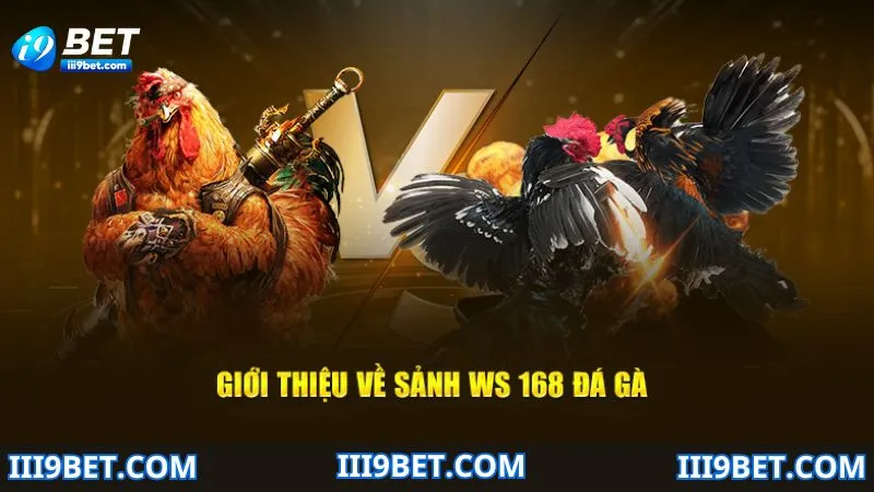 Ws168 đá gà